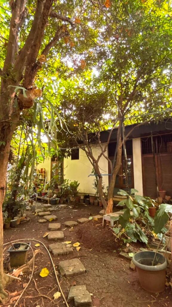 Rumah Mewah Jakarta Selatan